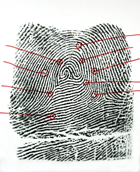 指紋｜print — ストック写真