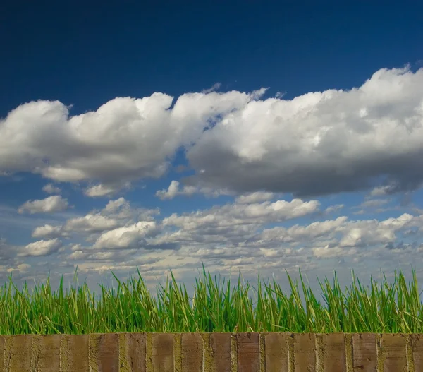 Obloha, tráva, cihly — Stock fotografie