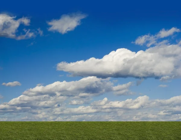 Grön registreras, blå himmel, vita moln — Stockfoto