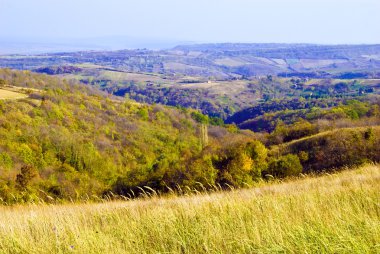 sonbahar renkleri