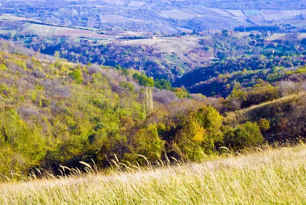 stock image Autumn colors