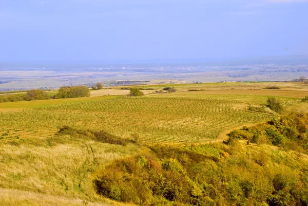 stock image Autumn colors