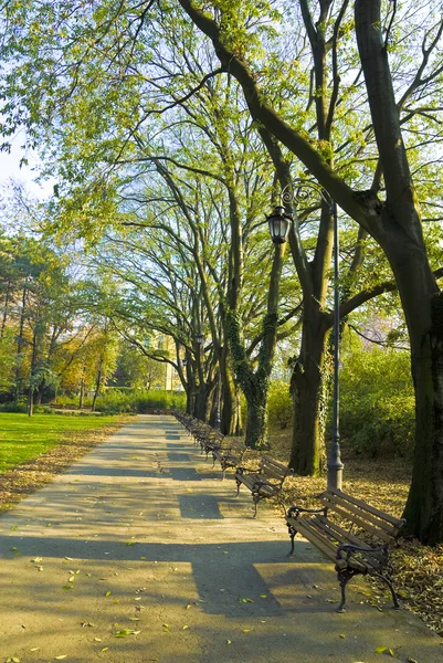 Stock image Park in November