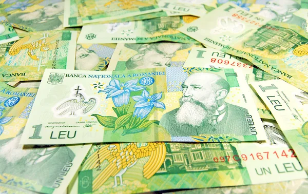루마니아어 banconotes — 스톡 사진