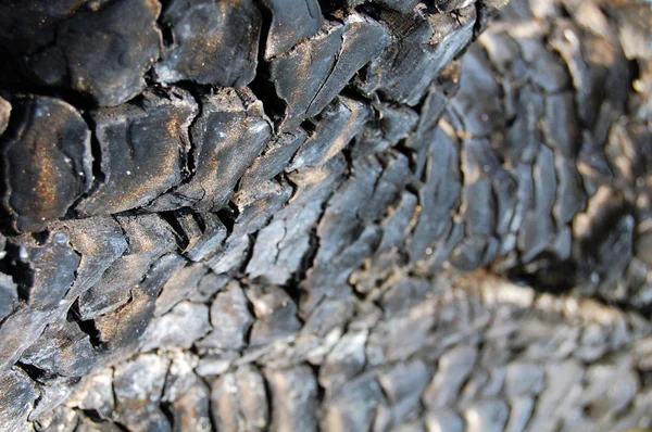 Burned wood — Stock Photo, Image