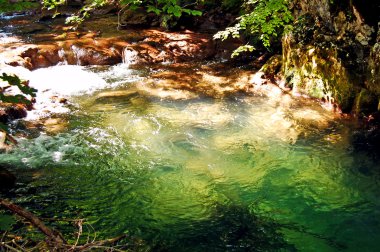 Güzel creek