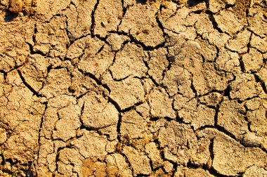 Barren earth texture clipart