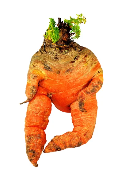 Homem de cenoura — Fotografia de Stock