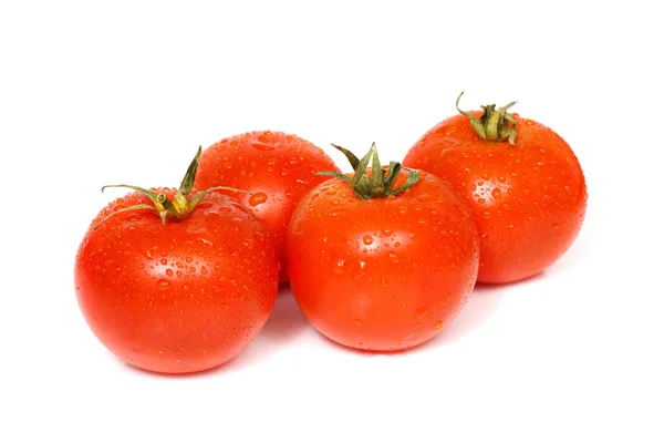 Красный помидор — стоковое фото