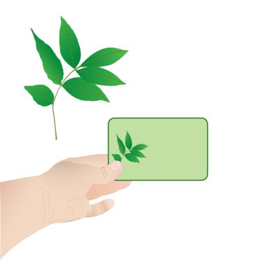 Hand holding a card. Leaf of a tree clipart