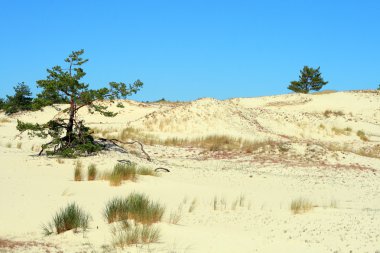 Sand dunes clipart