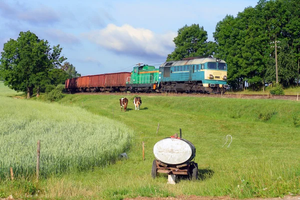 Landsbygdens scen med ett godståg — Stockfoto