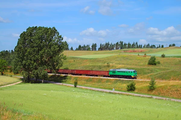 Летний пейзаж с грузовым поездом — стоковое фото