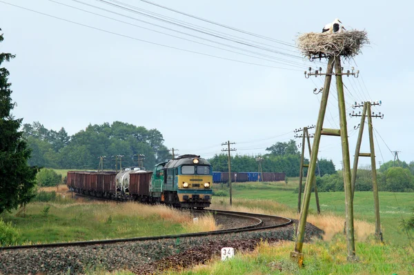 Rural landscape with freight train — Stock Photo, Image