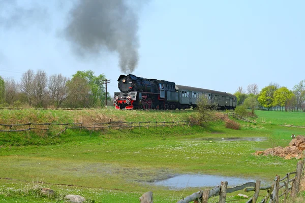 Buharlı trenle kırsal alan — Stok fotoğraf