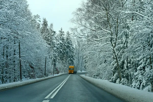겨울 장면 스톡 사진