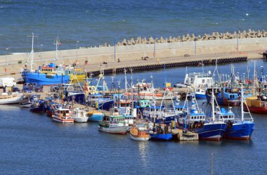 Aerial view of the marina clipart