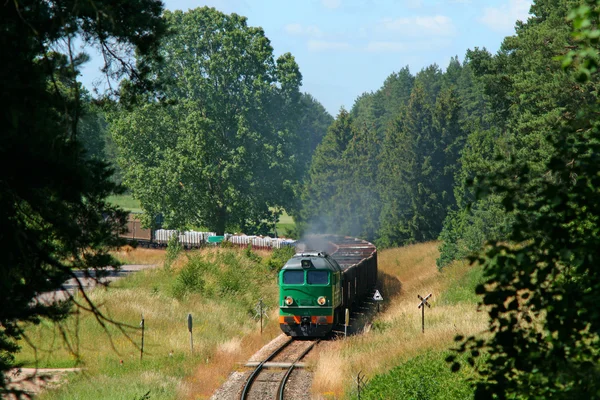 Tren de mercancías entrando en el bosque — Foto de Stock