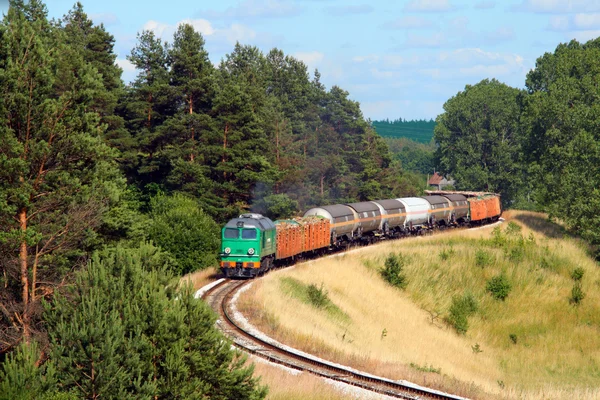 Güterzug fährt durch den Wald — Stockfoto