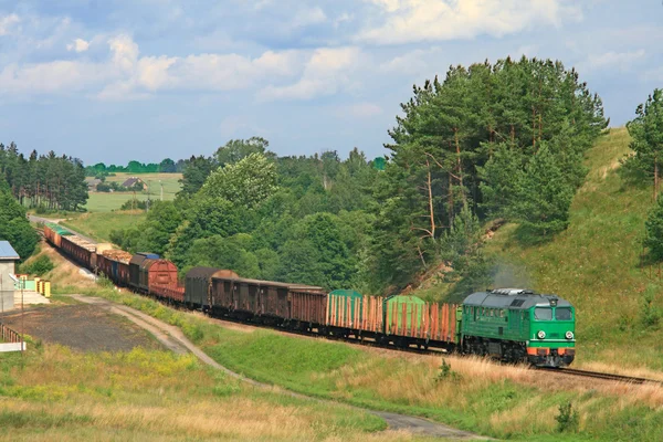 Letní krajina s nákladní vlak — Stock fotografie