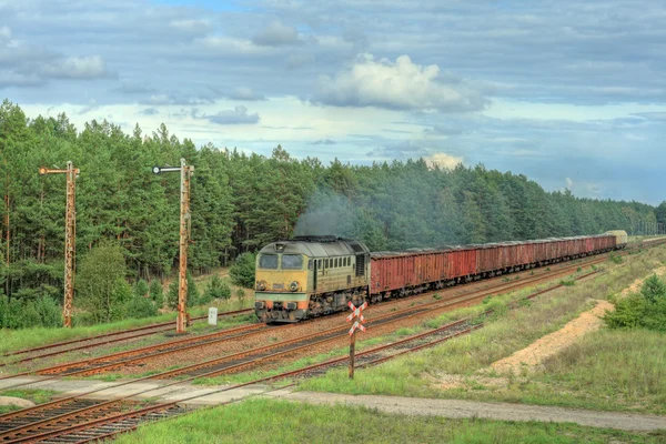Грузовой поезд проходит через лес — стоковое фото