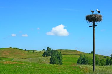 Polish summer landscape clipart