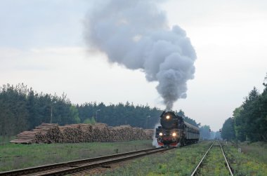 Scene at the railway station clipart