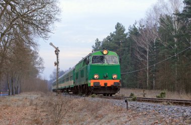 Ormanın içinden geçen yolcu treni