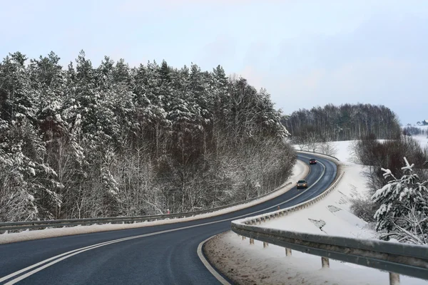 Estrada na floresta de inverno — Fotografia de Stock