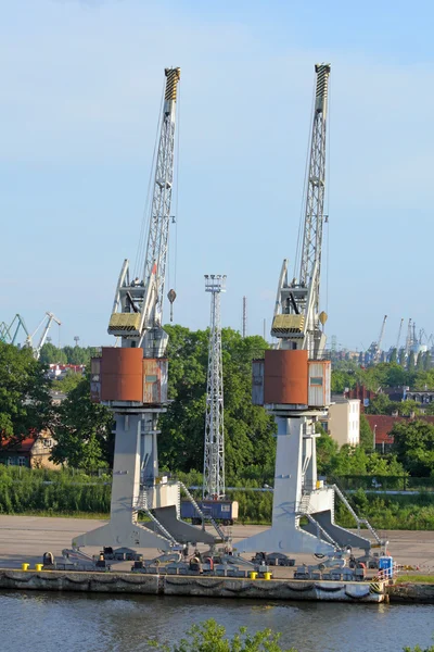 Cranes in a harbour — Stock Photo, Image