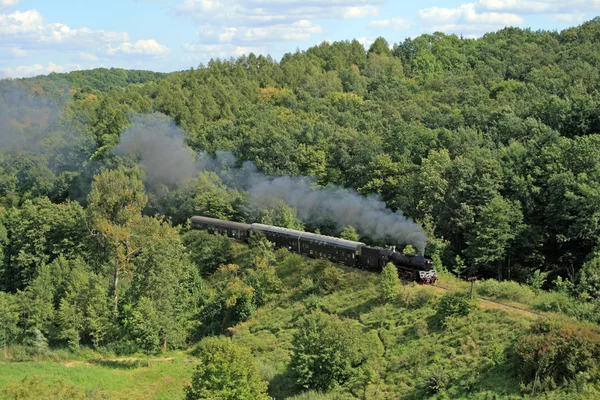 Paisagem com um trem a vapor — Fotografia de Stock