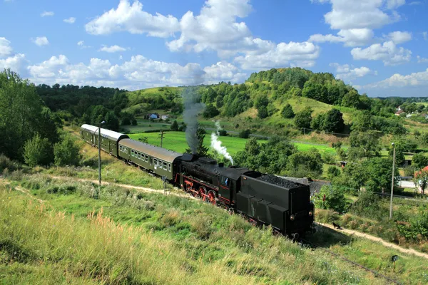 Landscape with a steam train — Stock Photo, Image