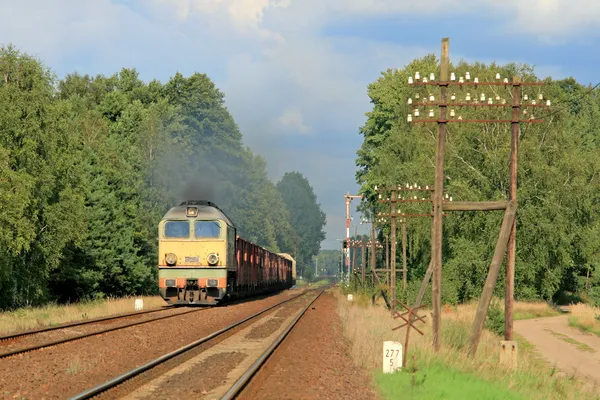 Nákladní vlak kolem lesa — Stock fotografie
