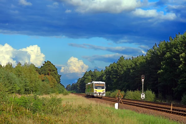Ferrocarril solitario pasando por el bosque — Foto de Stock