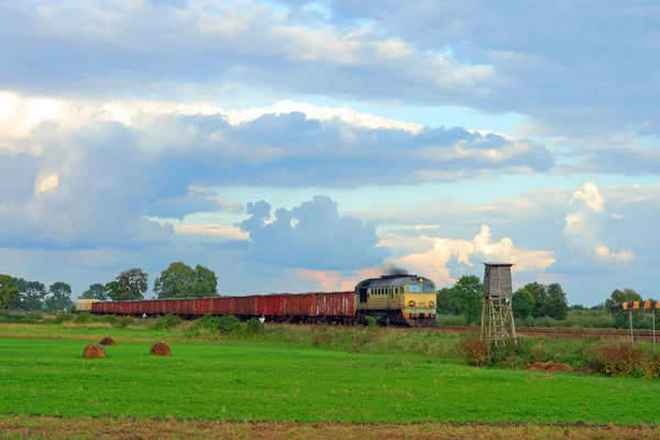 Сельский пейзаж с грузовым поездом — стоковое фото