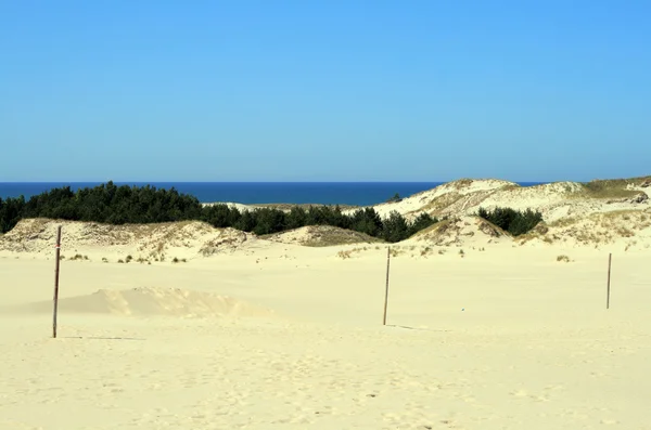 Písečné duny — Stock fotografie