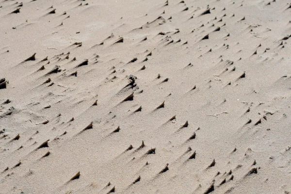 Struktura písku na pláži — Stock fotografie