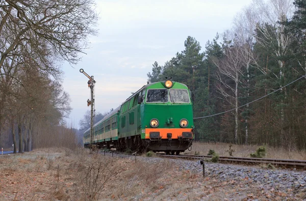 Пассажирский поезд проходит через лес — стоковое фото