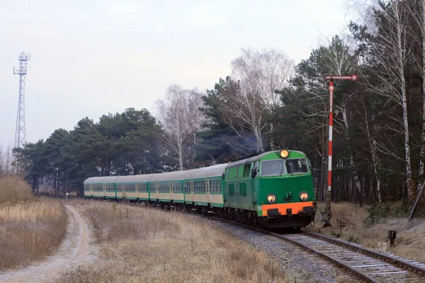Treno passeggeri che attraversa la foresta — Foto Stock