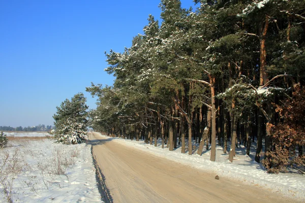 Зимняя сцена — стоковое фото