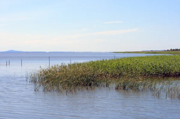 Landscape at the lakeside — Stock Photo, Image