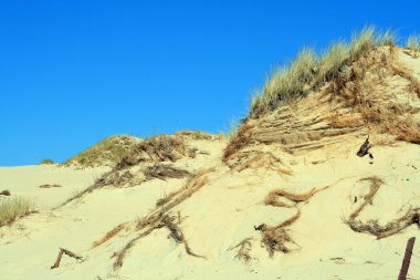 Sand dunes clipart