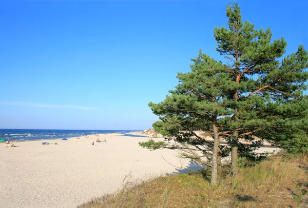 Landschap op het strand — Stockfoto