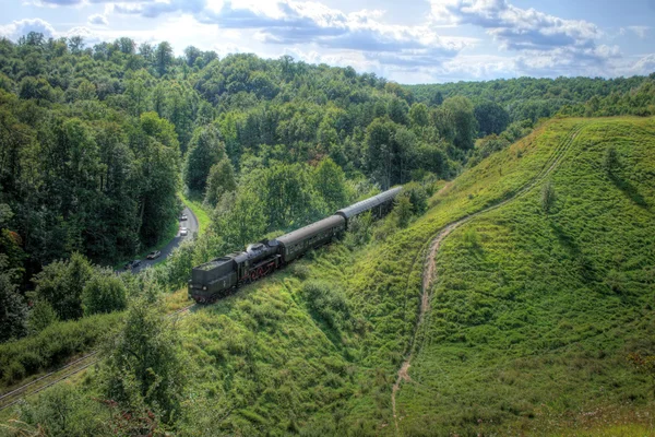 Paisaje con un tren de vapor —  Fotos de Stock