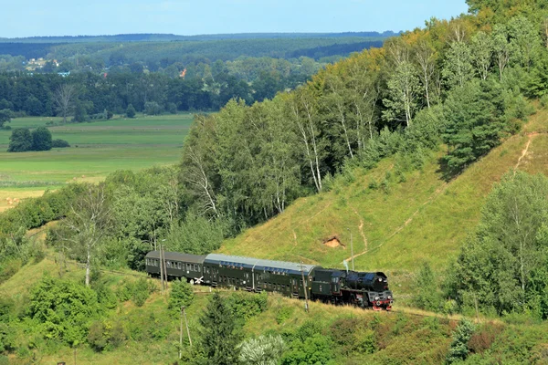 Paesaggio con un treno a vapore — Foto Stock