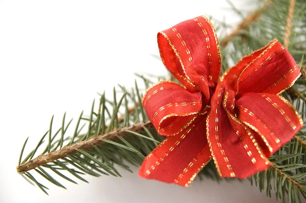 Pine branch with a red bow — Stock Photo, Image