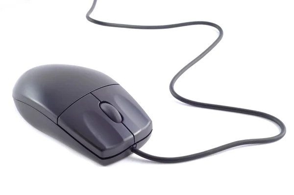 stock image Mouse