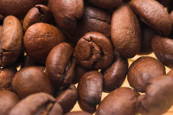 Kaffe korn närbild — Stockfoto