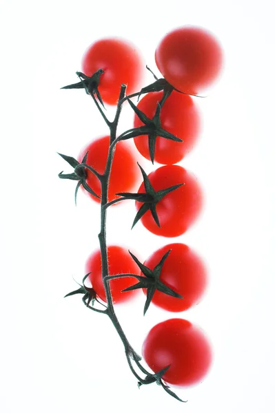 Um monte de tomates. Imagens Royalty-Free