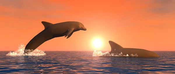 Golfinhos ao pôr do sol — Fotografia de Stock